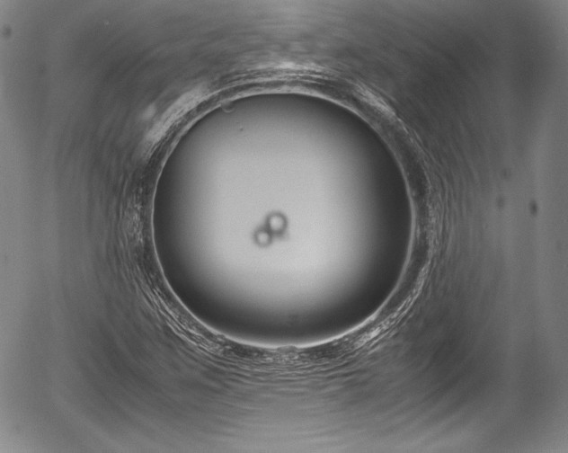 X0000054451259200508011420