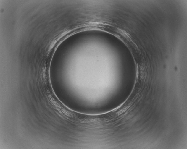 X0000054451260200508011420