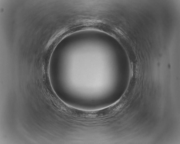 X0000054451261200508011420