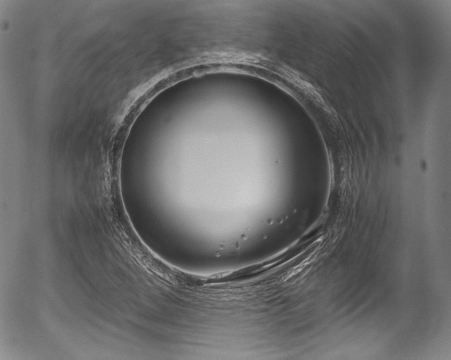 X0000054451264200508011420