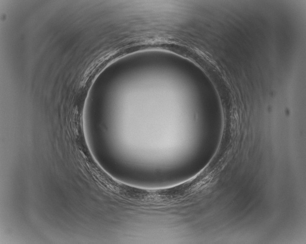 X0000054451265200508011420