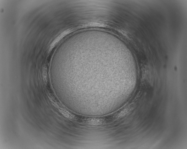 X0000054451266200508011420
