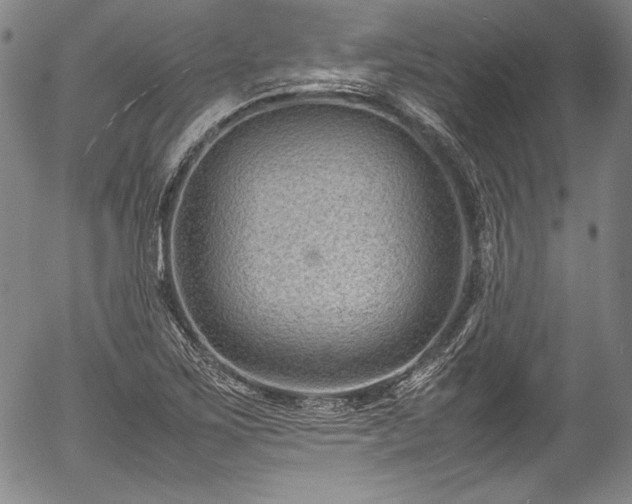 X0000054451267200508011420