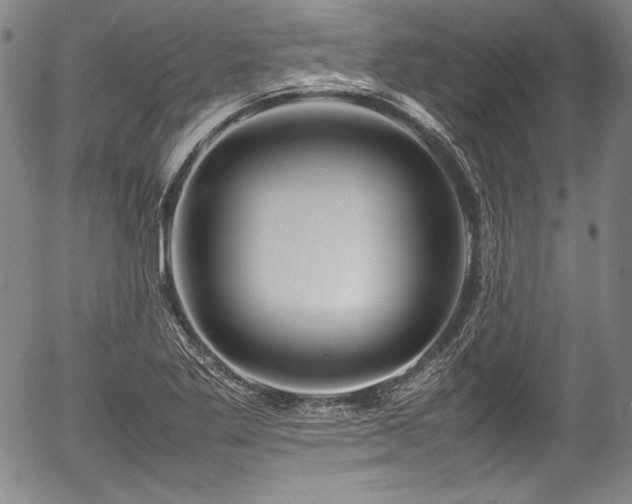 X0000054451269200508011420