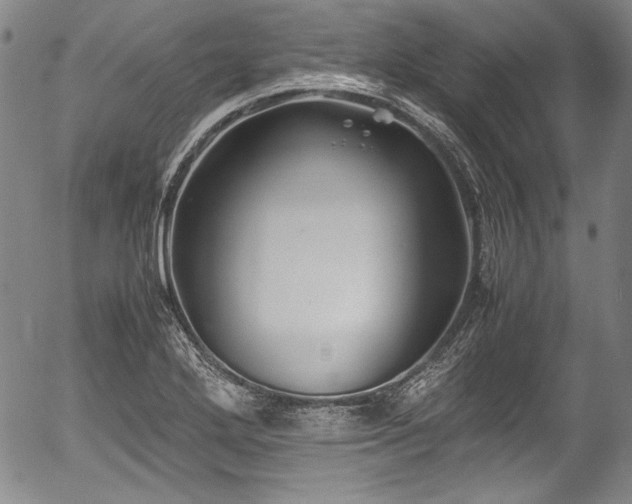 X0000054451272200508011420