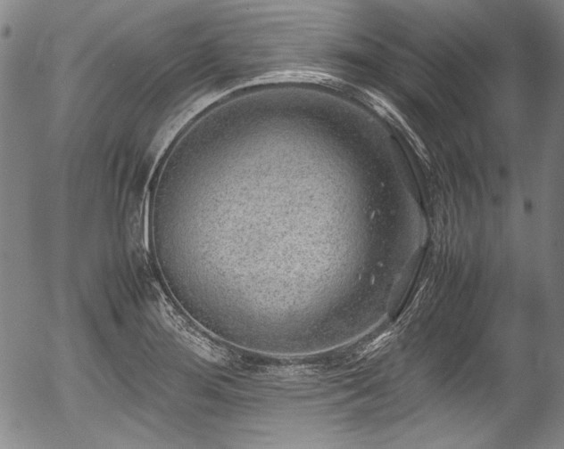 X0000054451276200508011419