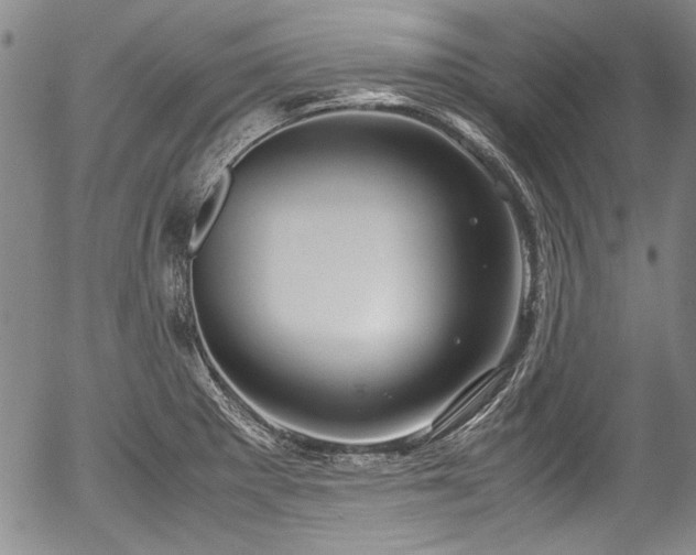 X0000054451281200508011419