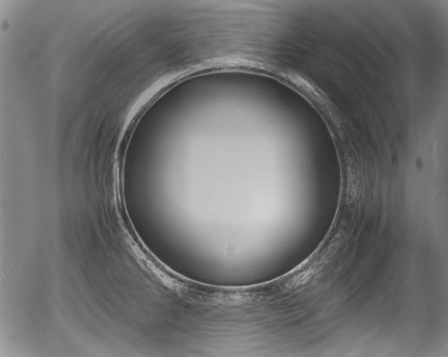 X0000054451286200508011419