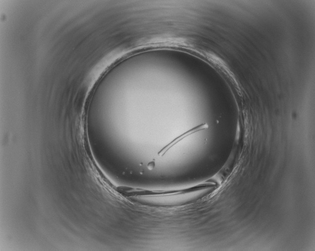 X0000054451288200508011419