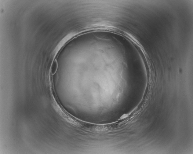 X0000054451291200508011419
