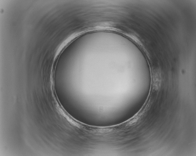 X0000054451294200508011419