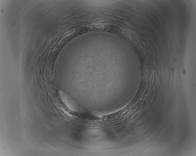 X0000054451297200508011418