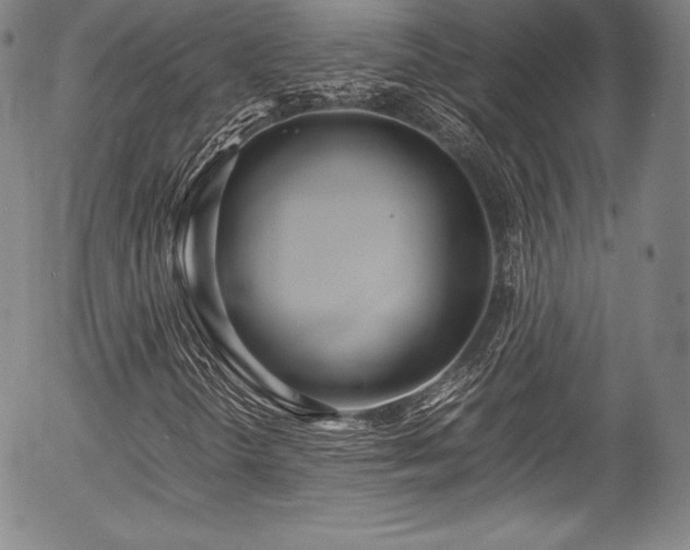 X0000054451298200508011418