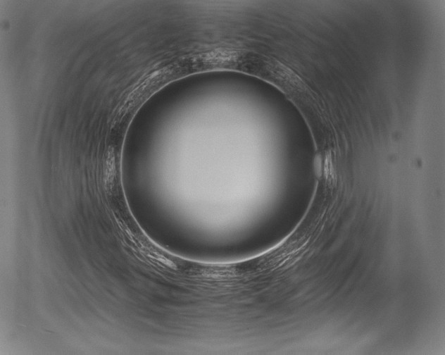 X0000054451299200508011418