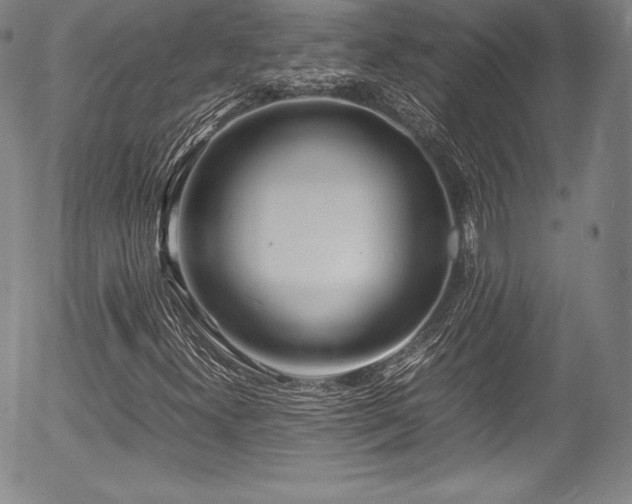X0000054451300200508011418