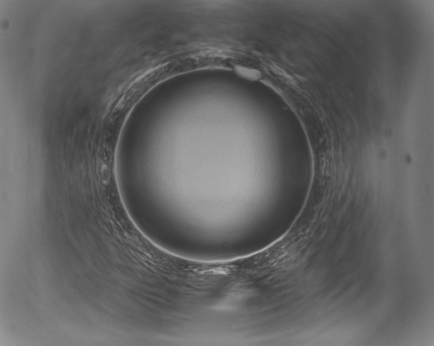 X0000054451303200508011418