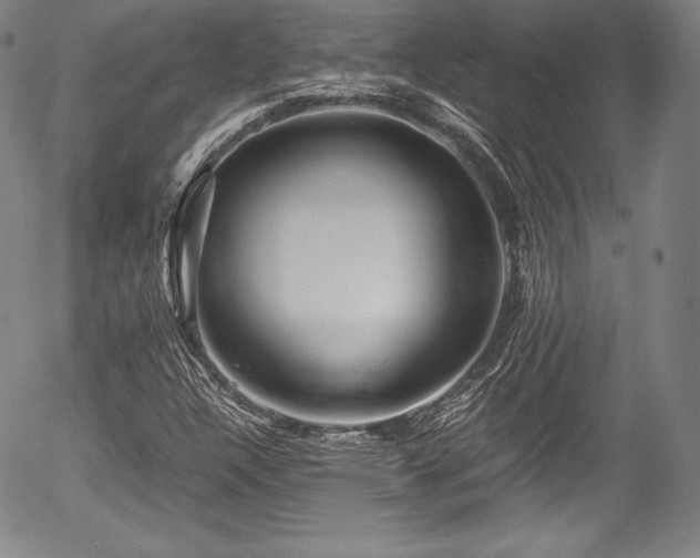 X0000054451304200508011418