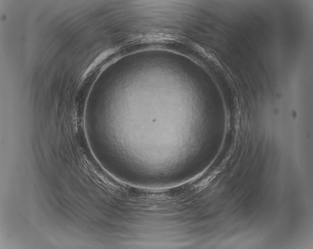 X0000054451306200508011418