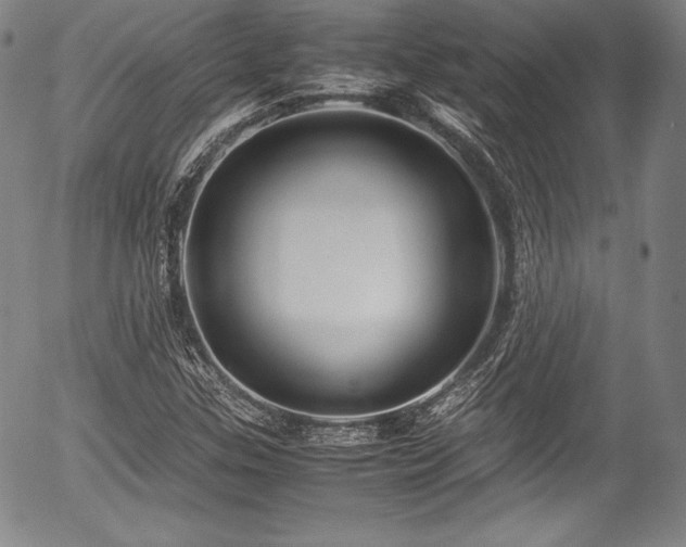 X0000054451307200508011418
