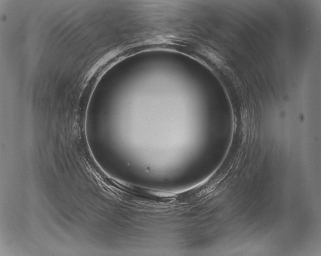 X0000054451308200508011418