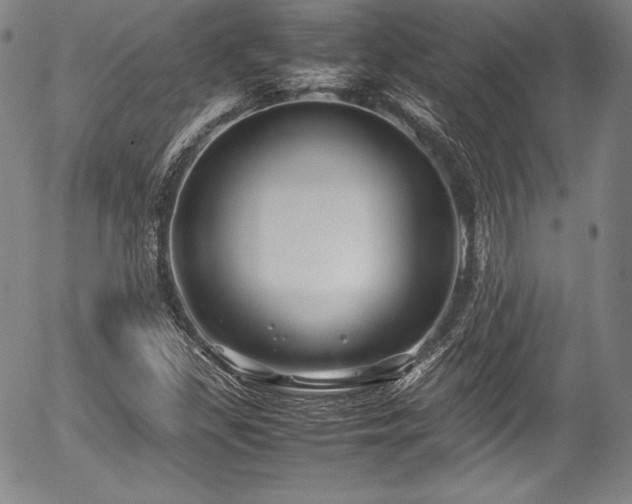 X0000054451309200508011419