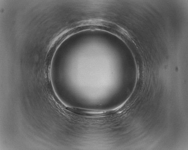 X0000054451312200508011419
