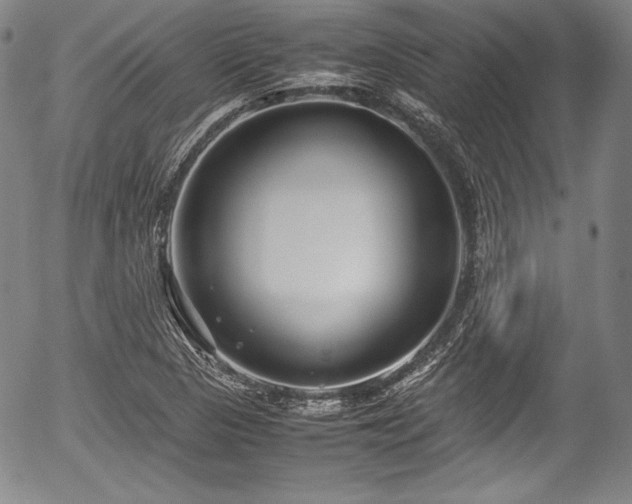 X0000054451313200508011419