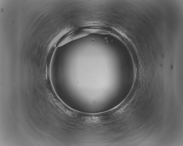 X0000054451317200508011419