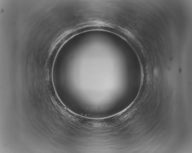 X0000054451318200508011419