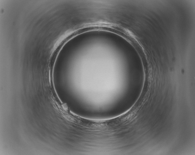 X0000054451320200508011419