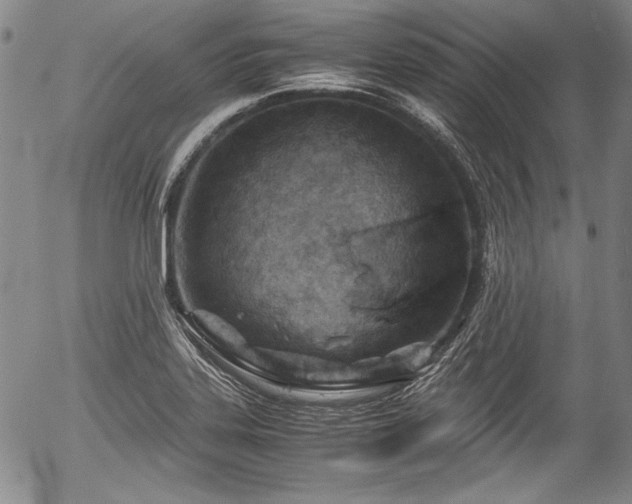 X0000054451323200508011419