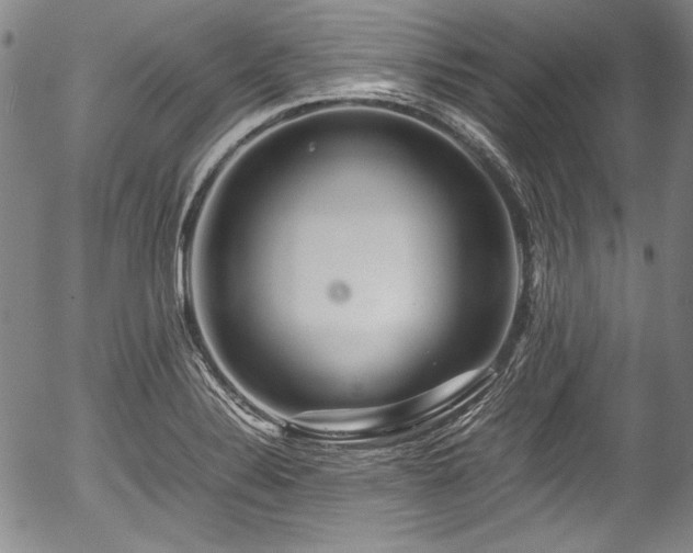 X0000054451324200508011419