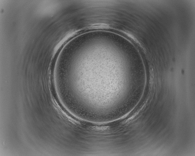 X0000054451325200508011419