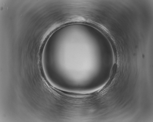 X0000054451326200508011419