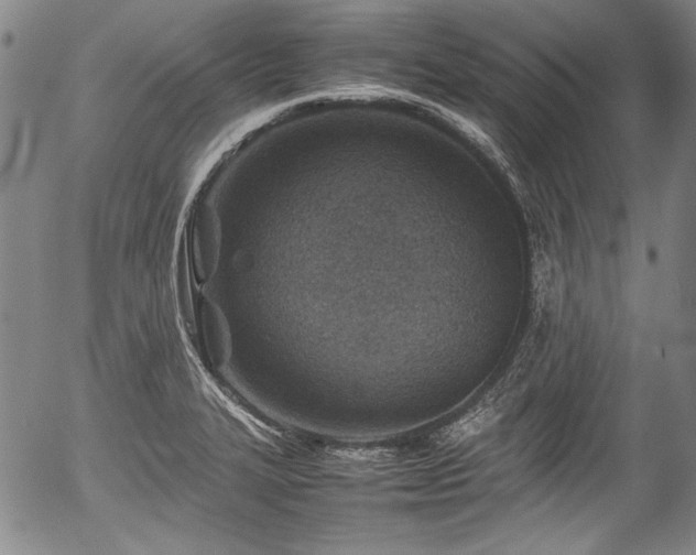 X0000054451327200508011419