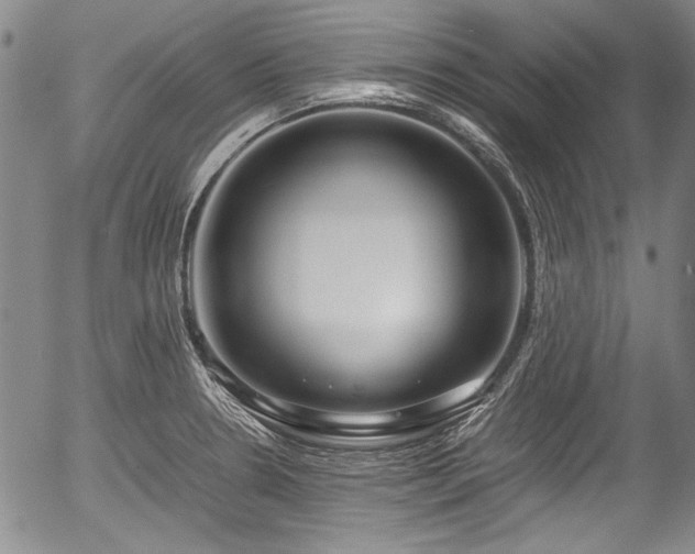 X0000054451330200508011419