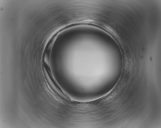 X0000054451332200508011419