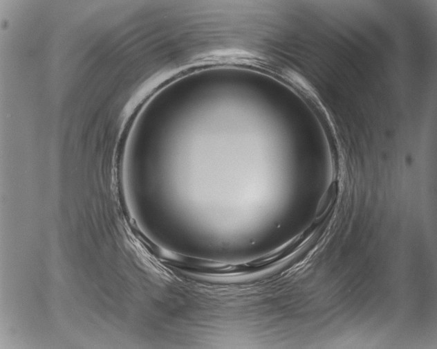 X0000054451336200508011419