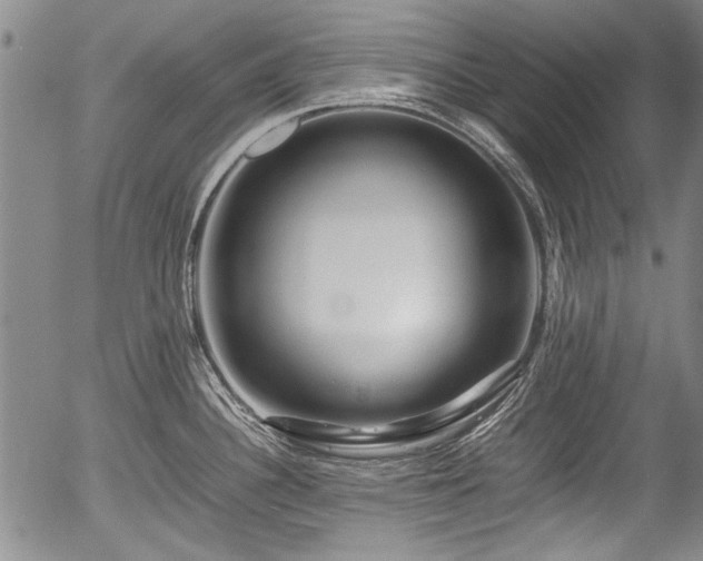 X0000054451340200508011419
