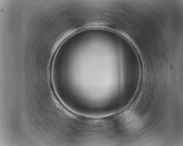X0000054451341200508011419