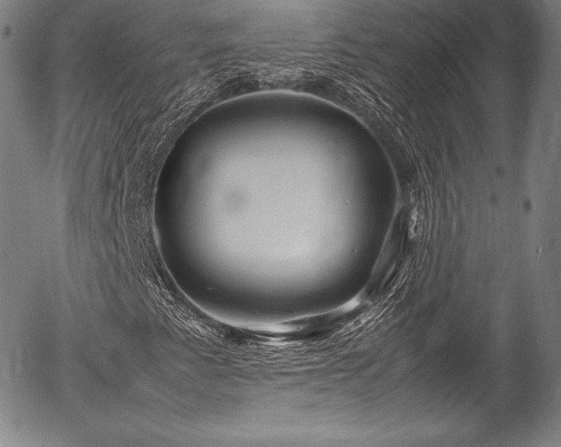 X0000054451345200508011418