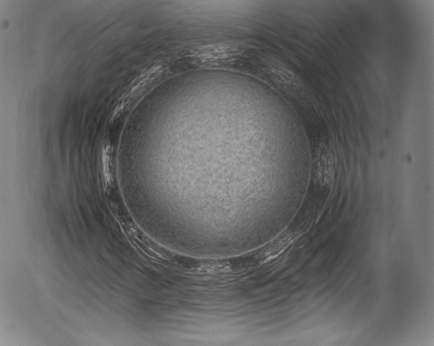 X0000054451346200508011418