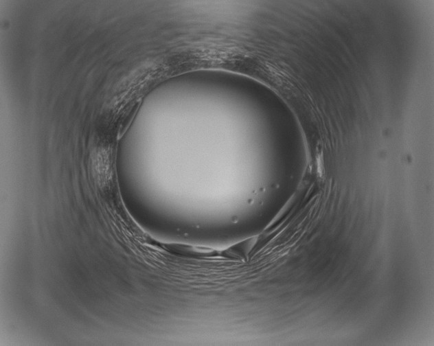 X0000054451347200508011418