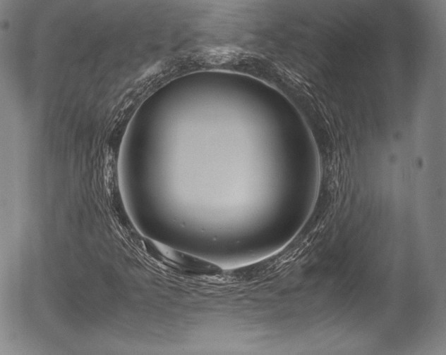 X0000054451349200508011418