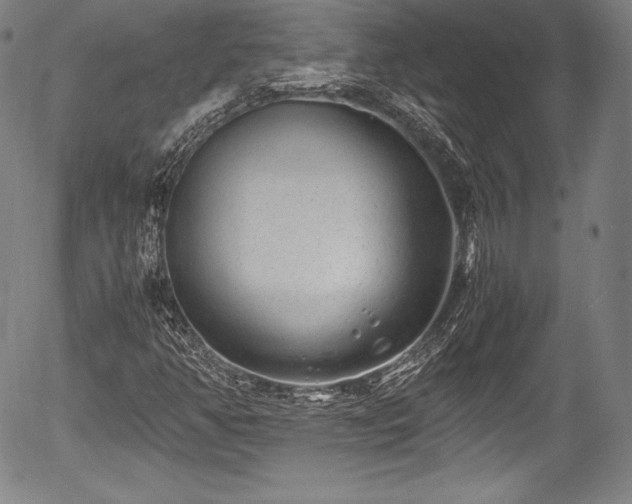 X0000054451350200508011418