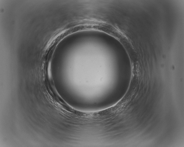 X0000054451352200508011418
