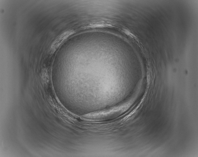 X0000054451353200508011418