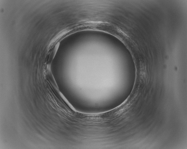 X0000054451354200508011418