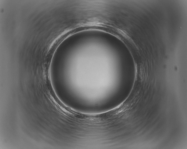 X0000054451356200508011418