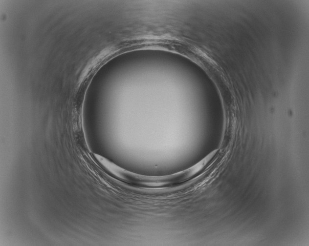 X0000054451357200508011418